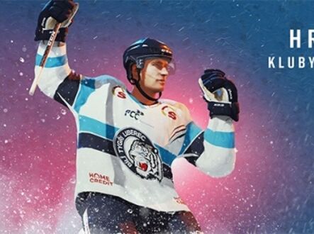 Virtuální hokejová liga EHL